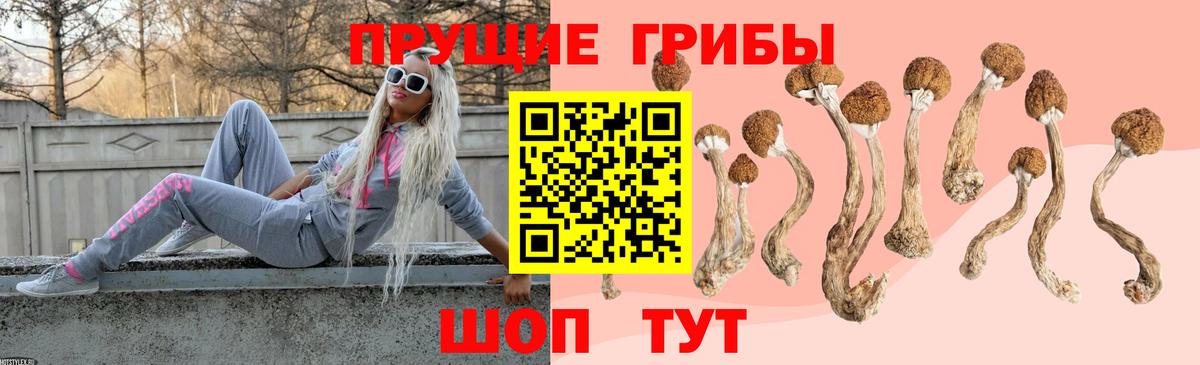 Галлюциногенные грибы ЛСД Лянтор