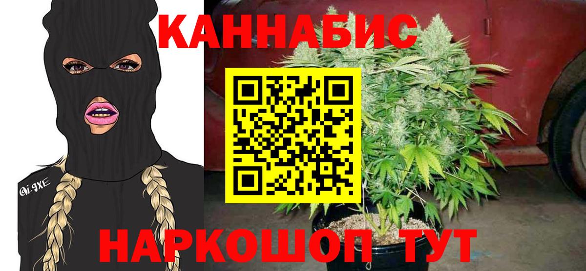 Каннабис тримм  Вход с VPN  Марихуана марихуана  Лянтор  Бошки марихуана конопля  Конопля Amnesia 